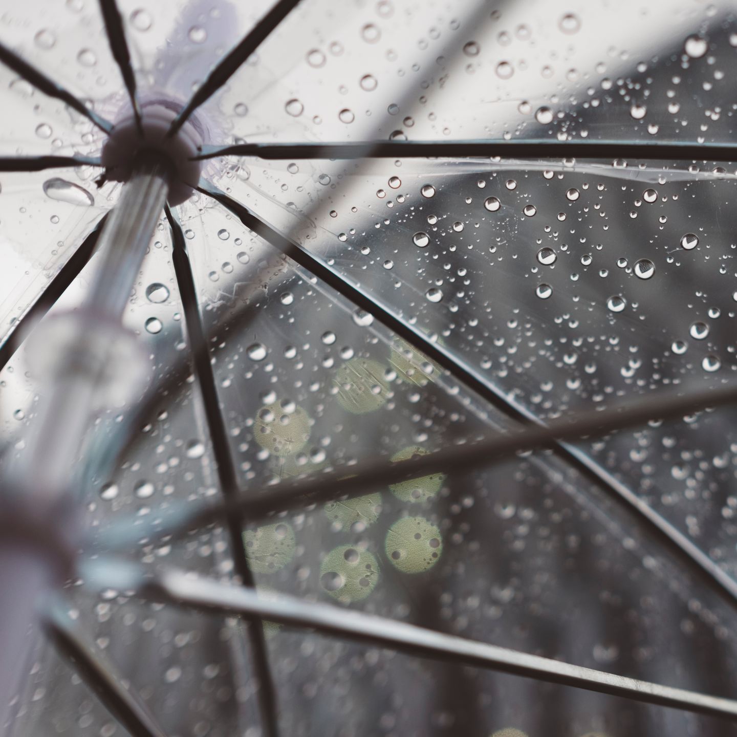Varillas de un paraguas transparente cubierto de gotas de lluvia